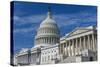 United States Capitol Building East Facade - Washington DC United States-Orhan-Stretched Canvas