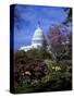 United States Capitol Building - Houses of Congress-Carol Highsmith-Stretched Canvas