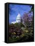 United States Capitol Building - Houses of Congress-Carol Highsmith-Framed Stretched Canvas