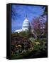 United States Capitol Building - Houses of Congress-Carol Highsmith-Framed Stretched Canvas