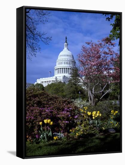 United States Capitol Building - Houses of Congress-Carol Highsmith-Framed Stretched Canvas