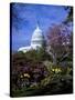 United States Capitol Building - Houses of Congress-Carol Highsmith-Stretched Canvas