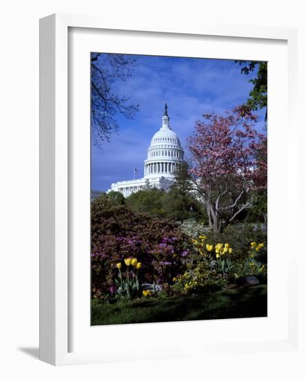 United States Capitol Building - Houses of Congress-Carol Highsmith-Framed Photo