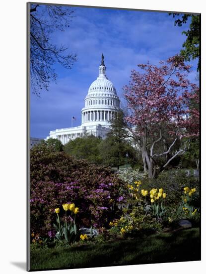 United States Capitol Building - Houses of Congress-Carol Highsmith-Mounted Photo