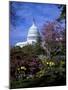 United States Capitol Building - Houses of Congress-Carol Highsmith-Mounted Photo