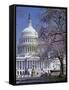 United States Capitol Building - Houses of Congress-Carol Highsmith-Framed Stretched Canvas