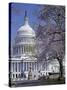 United States Capitol Building - Houses of Congress-Carol Highsmith-Stretched Canvas