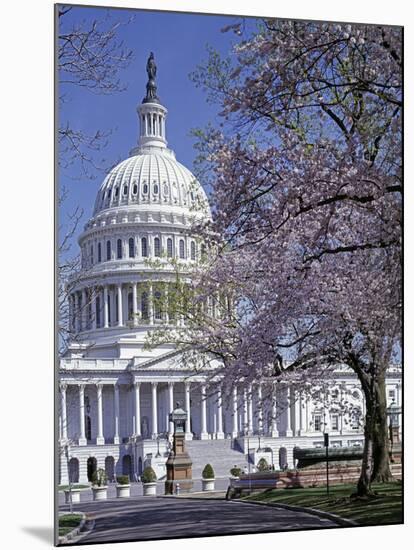 United States Capitol Building - Houses of Congress-Carol Highsmith-Mounted Photo