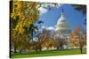 United States Capitol Building in Washington Dc, during Fall Season-Orhan-Stretched Canvas