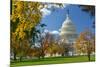 United States Capitol Building in Washington Dc, during Fall Season-Orhan-Mounted Photographic Print