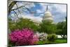 United States Capitol - Washington D.C. USA-Orhan-Mounted Photographic Print