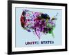 United States Color Splatter Map-NaxArt-Framed Art Print