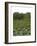 United States, Everglades National Park, Florida-null-Framed Giclee Print