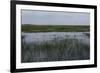 United States, Everglades National Park, Florida-null-Framed Giclee Print