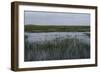 United States, Everglades National Park, Florida-null-Framed Giclee Print