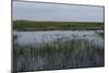 United States, Everglades National Park, Florida-null-Mounted Giclee Print
