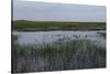 United States, Everglades National Park, Florida-null-Stretched Canvas