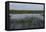 United States, Everglades National Park, Florida-null-Framed Stretched Canvas