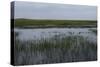 United States, Everglades National Park, Florida-null-Stretched Canvas