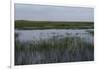 United States, Everglades National Park, Florida-null-Framed Giclee Print