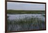 United States, Everglades National Park, Florida-null-Framed Giclee Print
