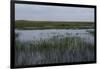 United States, Everglades National Park, Florida-null-Framed Giclee Print