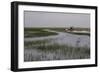 United States, Everglades National Park, Florida-null-Framed Giclee Print