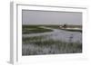 United States, Everglades National Park, Florida-null-Framed Giclee Print