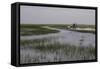 United States, Everglades National Park, Florida-null-Framed Stretched Canvas