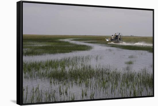 United States, Everglades National Park, Florida-null-Framed Stretched Canvas