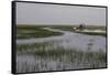 United States, Everglades National Park, Florida-null-Framed Stretched Canvas