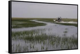 United States, Everglades National Park, Florida-null-Framed Stretched Canvas