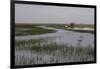 United States, Everglades National Park, Florida-null-Framed Giclee Print