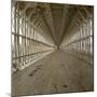 United States, Inside of the Suspension Bridge over the Niagara River-Leon, Levy et Fils-Mounted Photographic Print