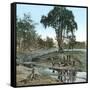 United States, New York State, Landscape-Leon, Levy et Fils-Framed Stretched Canvas