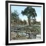 United States, New York State, Landscape-Leon, Levy et Fils-Framed Photographic Print