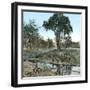 United States, New York State, Landscape-Leon, Levy et Fils-Framed Photographic Print