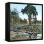 United States, New York State, Landscape-Leon, Levy et Fils-Framed Stretched Canvas