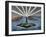 United States. New York. Statue of Liberty-null-Framed Giclee Print