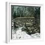 United States (Niagara), the Bridge at Luna Island-Leon, Levy et Fils-Framed Photographic Print