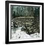 United States (Niagara), the Bridge at Luna Island-Leon, Levy et Fils-Framed Photographic Print