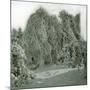 United States (Niagara), the Snow at Goat-Island-Leon, Levy et Fils-Mounted Photographic Print