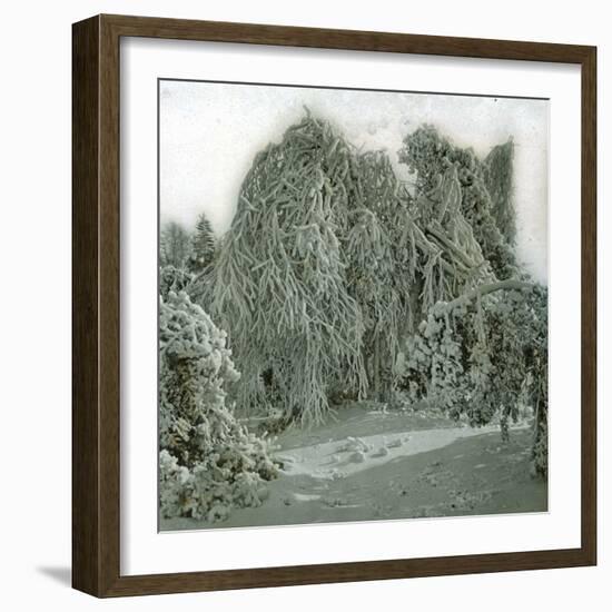 United States (Niagara), the Snow at Goat-Island-Leon, Levy et Fils-Framed Photographic Print