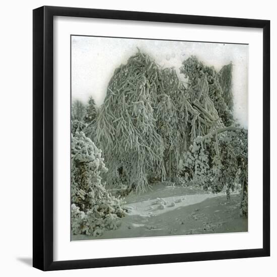 United States (Niagara), the Snow at Goat-Island-Leon, Levy et Fils-Framed Photographic Print