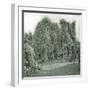 United States (Niagara), the Snow at Goat-Island-Leon, Levy et Fils-Framed Photographic Print