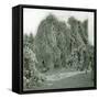 United States (Niagara), the Snow at Goat-Island-Leon, Levy et Fils-Framed Stretched Canvas