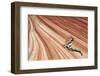 United States of America, Arizona, North Coyote Buttes-Mark Sykes-Framed Photographic Print