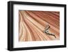 United States of America, Arizona, North Coyote Buttes-Mark Sykes-Framed Photographic Print