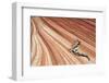 United States of America, Arizona, North Coyote Buttes-Mark Sykes-Framed Photographic Print