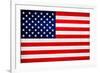 United States of America Flag Design with Wood Patterning - Flags of the World Series-Philippe Hugonnard-Framed Art Print